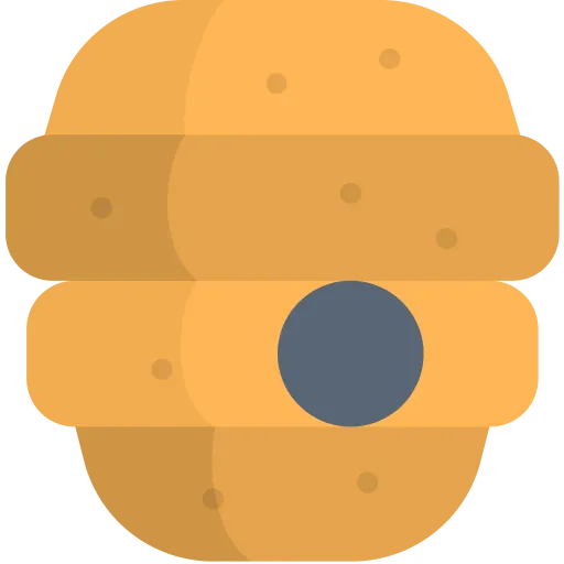 VidBee